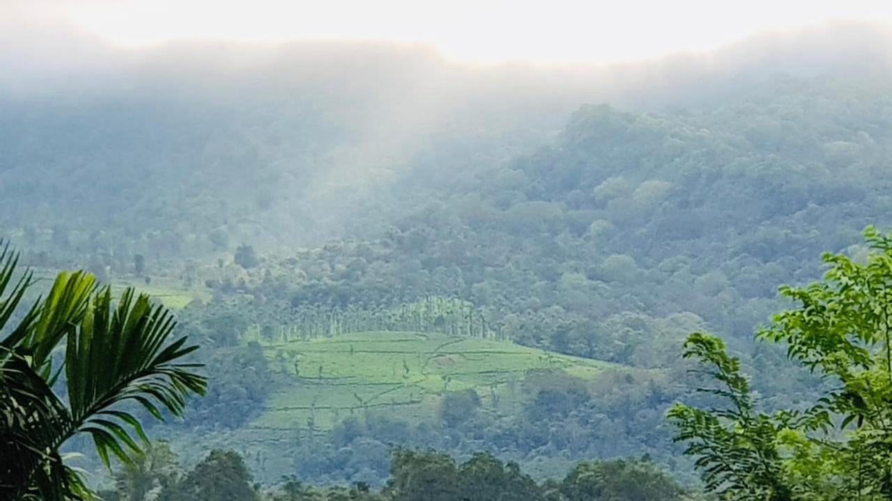 Wayanad Doubletree Villa Vythiri Extérieur photo