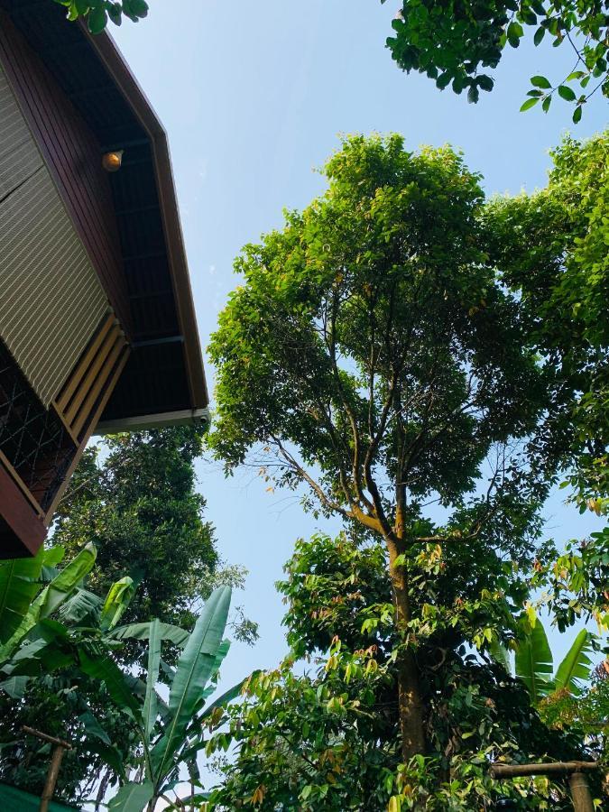 Wayanad Doubletree Villa Vythiri Extérieur photo